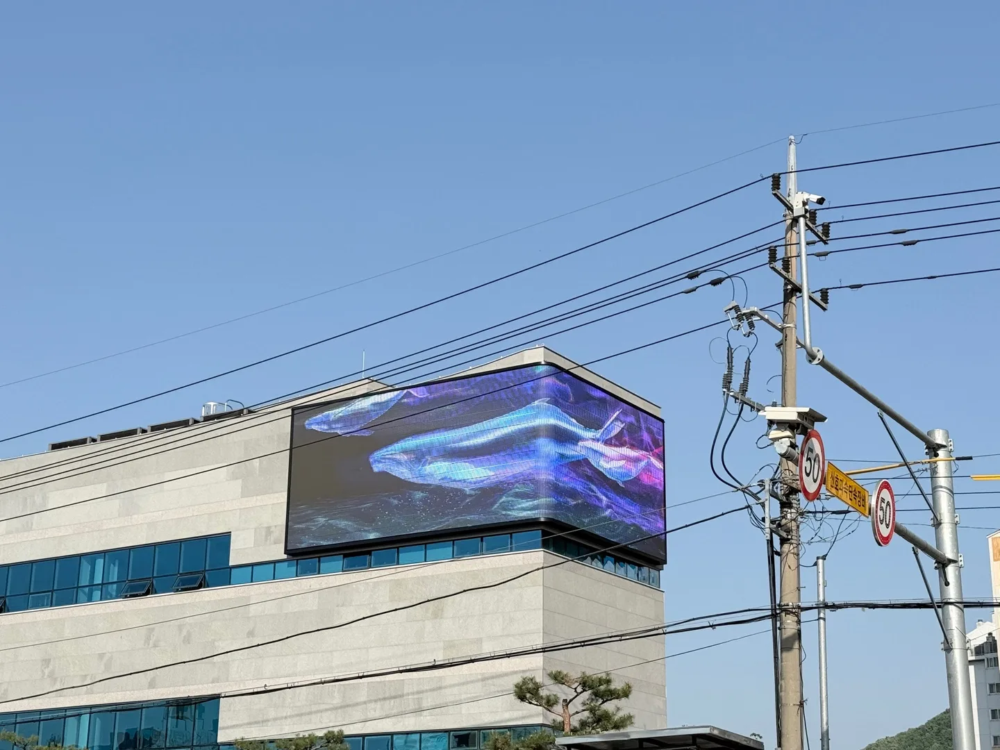괴산아트센터 미디어아트 LED전광판